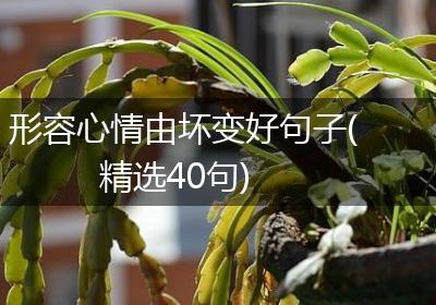 形容心情由坏变好句子(精选40句)