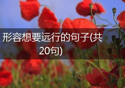 形容想要远行的句子(共20句)