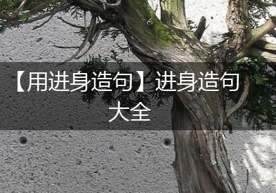 【用进身造句】进身造句大全