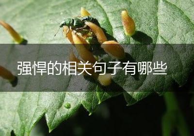 强悍的相关句子有哪些