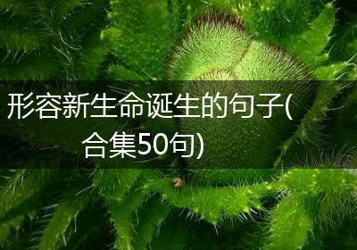 形容新生命诞生的句子(合集50句)