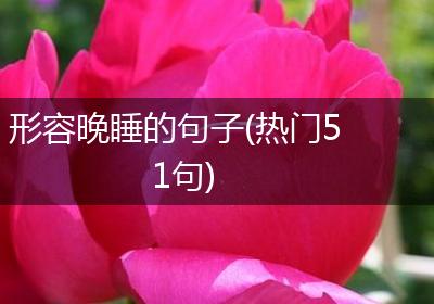 形容晚睡的句子(热门51句)