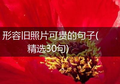 形容旧照片可贵的句子(精选30句)