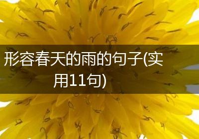 形容春天的雨的句子(实用11句)