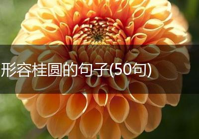 形容桂圆的句子(50句)
