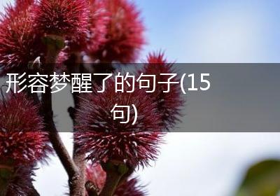 形容梦醒了的句子(15句)