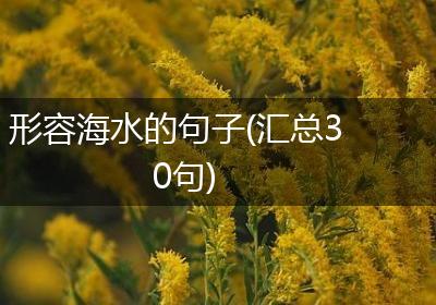 形容海水的句子(汇总30句)