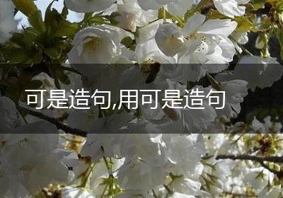 可是造句,用可是造句