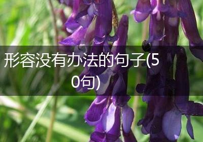 形容没有办法的句子(50句)