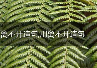 离不开造句,用离不开造句