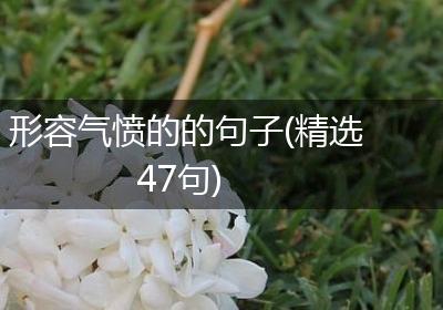 形容气愤的的句子(精选47句)