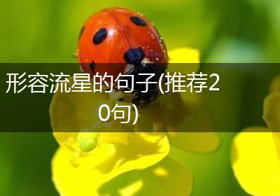 形容流星的句子(推荐20句)