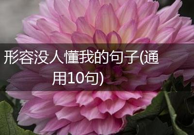 形容没人懂我的句子(通用10句)