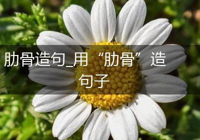 肋骨造句_用“肋骨”造句子