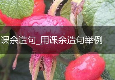 课余造句_用课余造句举例