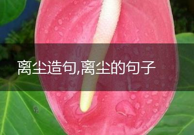 离尘造句,离尘的句子