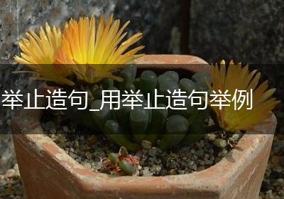 举止造句_用举止造句举例