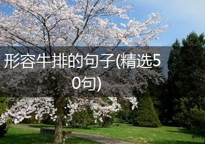 形容牛排的句子(精选50句)