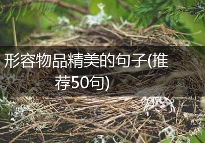 形容物品精美的句子(推荐50句)