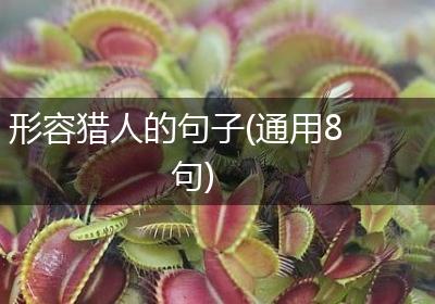 形容猎人的句子(通用8句)