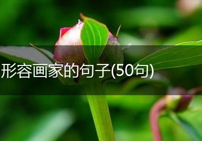 形容画家的句子(50句)