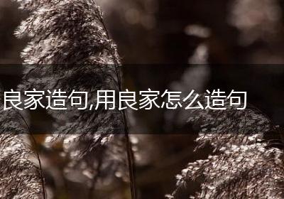 良家造句,用良家怎么造句