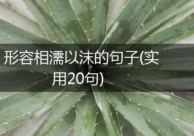 形容相濡以沫的句子(实用20句)