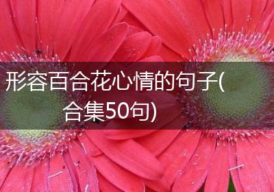 形容百合花心情的句子(合集50句)