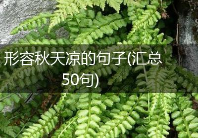 形容秋天凉的句子(汇总50句)