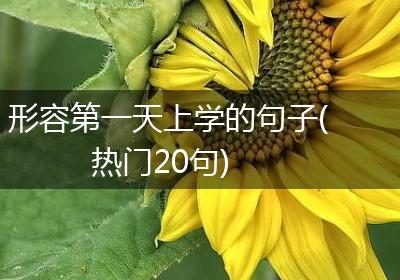 形容第一天上学的句子(热门20句)