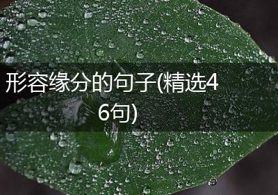 形容缘分的句子(精选46句)