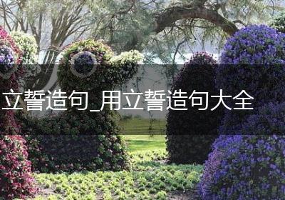 立誓造句_用立誓造句大全