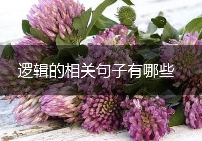 逻辑的相关句子有哪些