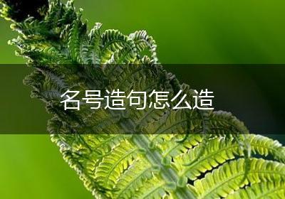 名号造句怎么造