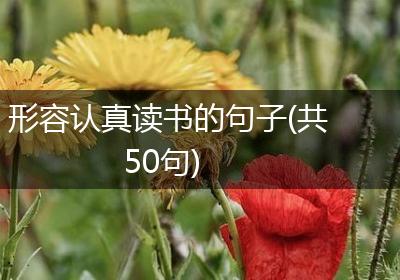 形容认真读书的句子(共50句)