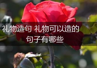 礼物造句 礼物可以造的句子有哪些