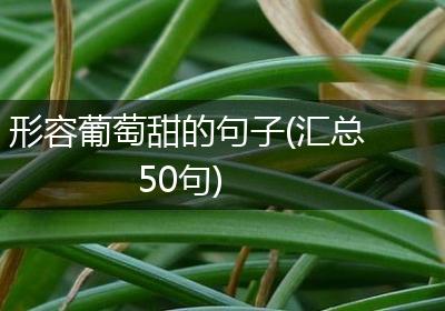 形容葡萄甜的句子(汇总50句)