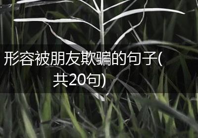 形容被朋友欺骗的句子(共20句)
