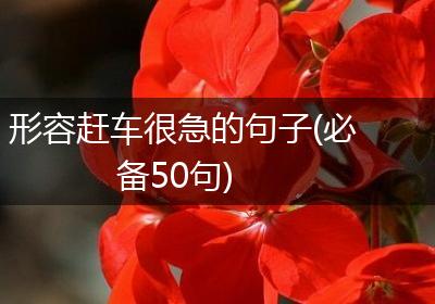 形容赶车很急的句子(必备50句)