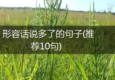 形容话说多了的句子(推荐10句)