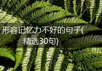 形容记忆力不好的句子(精选30句)