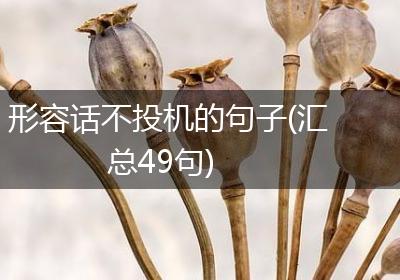 形容话不投机的句子(汇总49句)