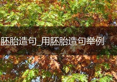 胚胎造句_用胚胎造句举例