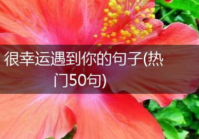 很幸运遇到你的句子(热门50句)