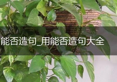 能否造句_用能否造句大全