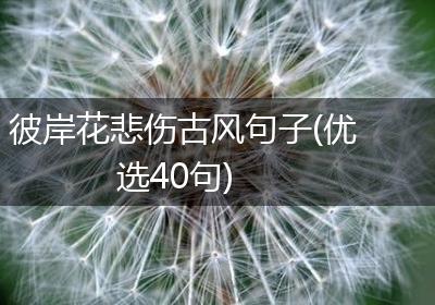 彼岸花悲伤古风句子(优选40句)
