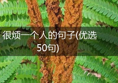 很烦一个人的句子(优选50句)