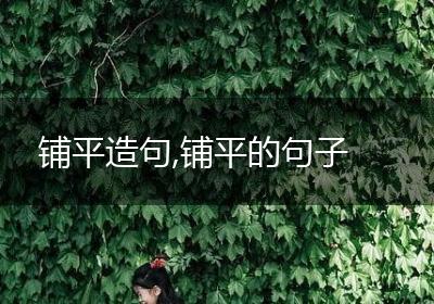 铺平造句,铺平的句子