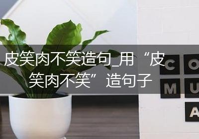 皮笑肉不笑造句_用“皮笑肉不笑”造句子