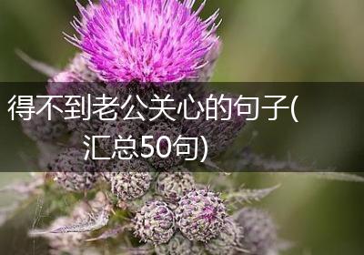 得不到老公关心的句子(汇总50句)